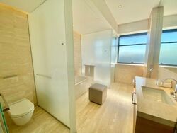 Hana (D10), Condominium #497872761